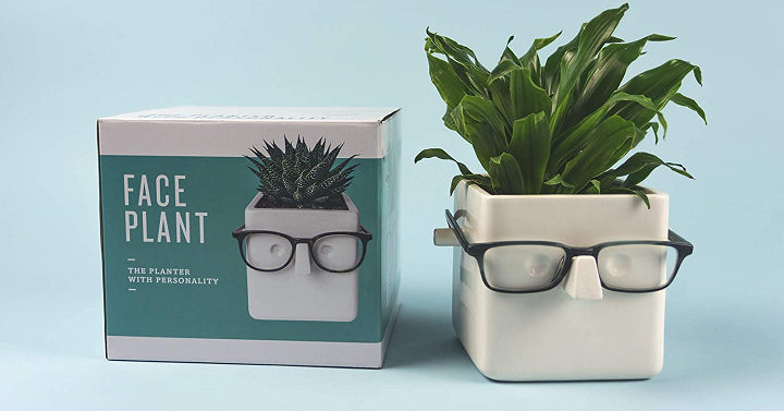 Face Planter That Holds Your Glasses Only $14.99!