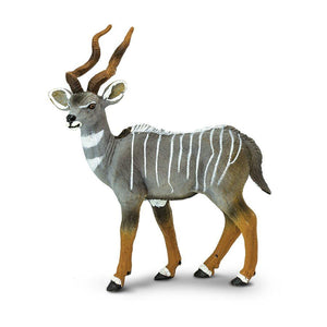 Lesser Kudu