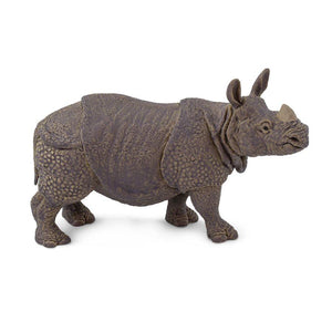 Indian Rhino