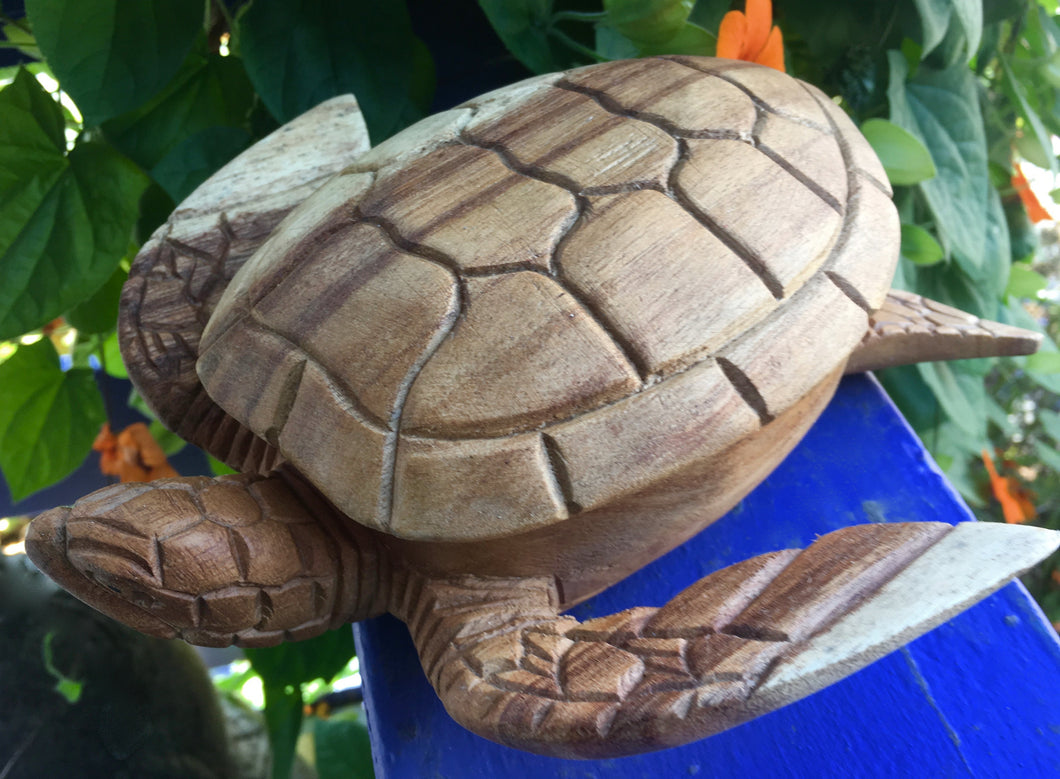 Sea Turtle Terrapin Trinket Box Hand Carved Wood